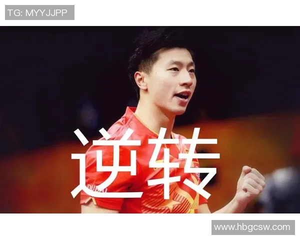 深圳排球队灵活性展现出色大满贯点评分析其战术与表现